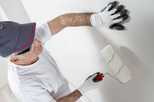 Best Mold Removal for HVAC Installations  in Port Ewen, NY