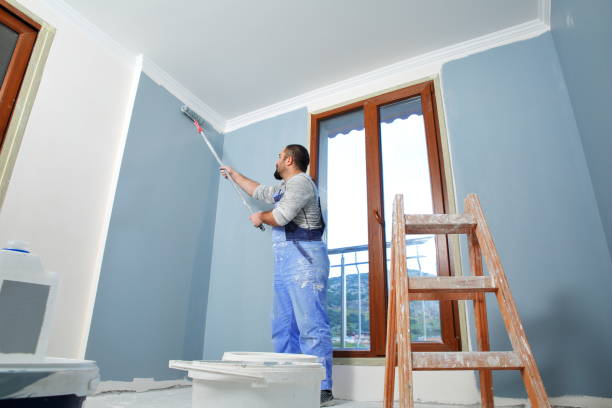 Forensic Mold Investigation in Port Ewen, NY