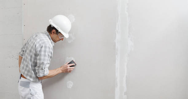 Best Comprehensive Air Testing for Mold Contaminants  in Port Ewen, NY