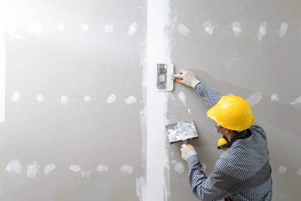 Best Biohazard Mold Removal  in Port Ewen, NY