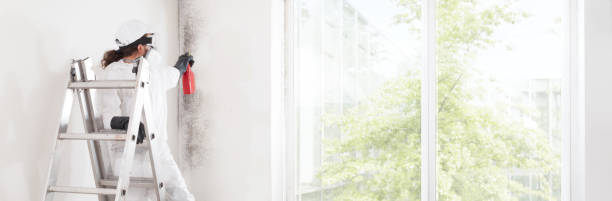 Best Dehumidification Services  in Port Ewen, NY
